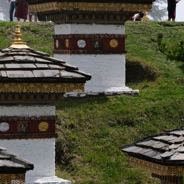 5 Days Pemako and Taj Bhutan Retreat