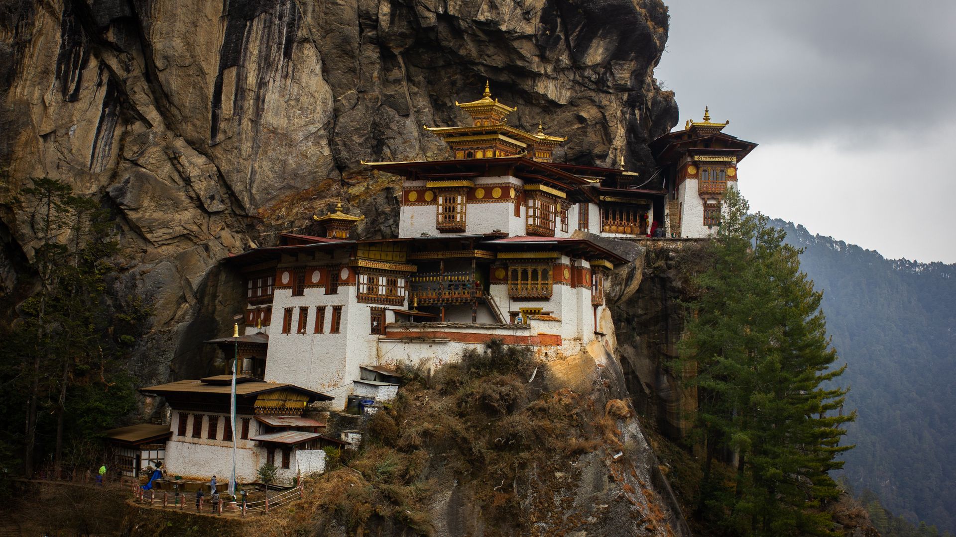 10 Days Jambay Lhakhang Festival