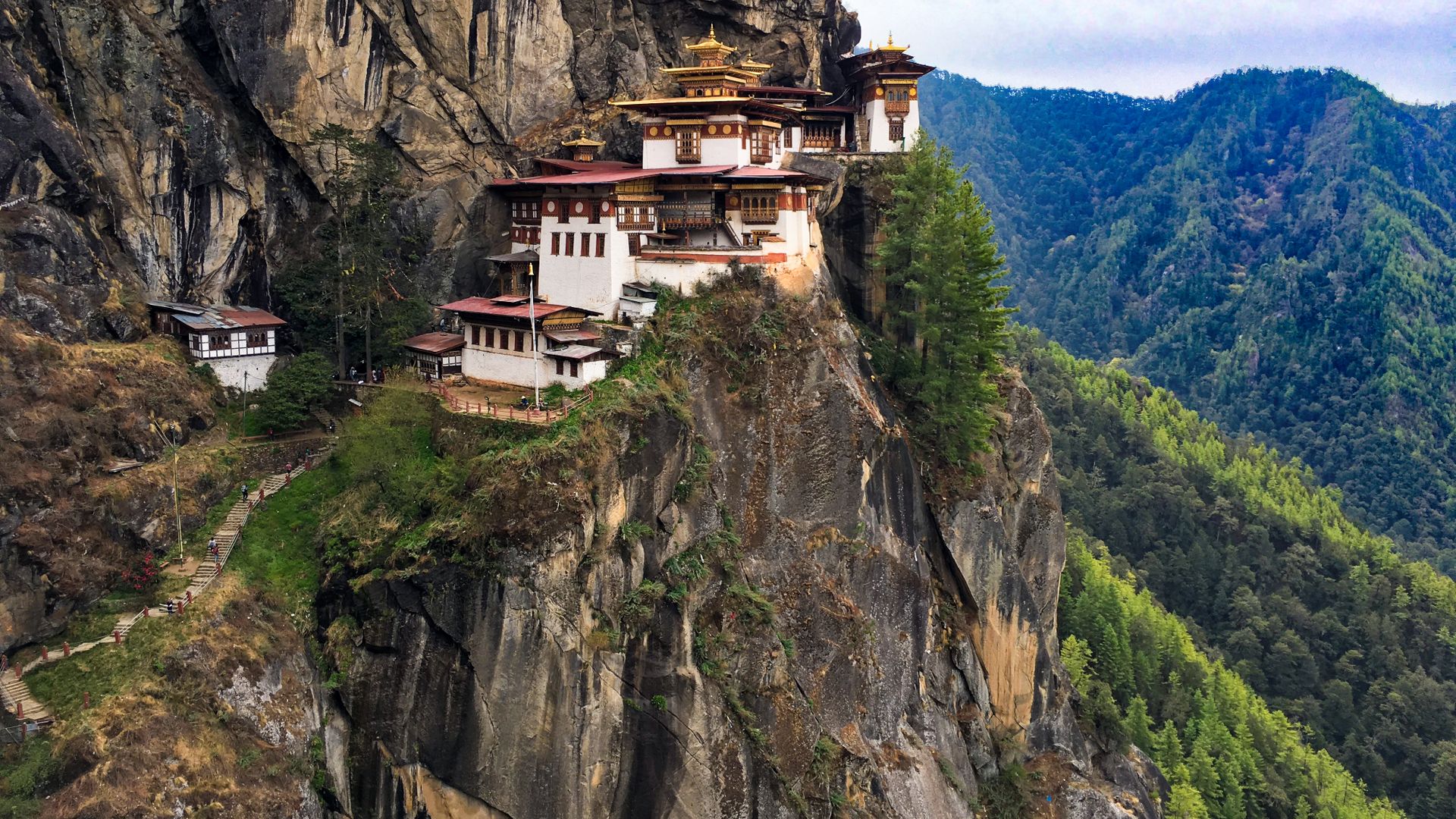 9 Days Druk Path Trek
